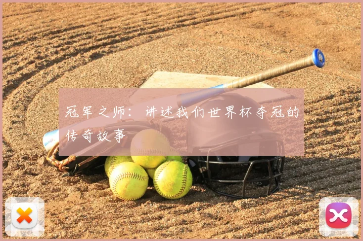 冠军之师:讲述我们世界杯夺冠的传奇故事