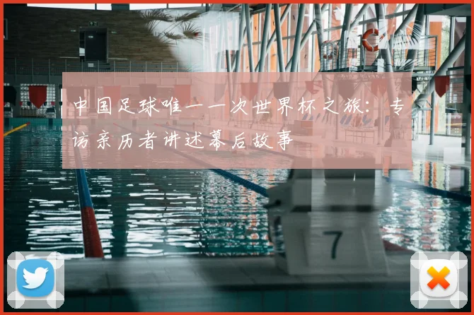 中国足球唯一一次世界杯之旅：专访亲历者讲述幕后故事