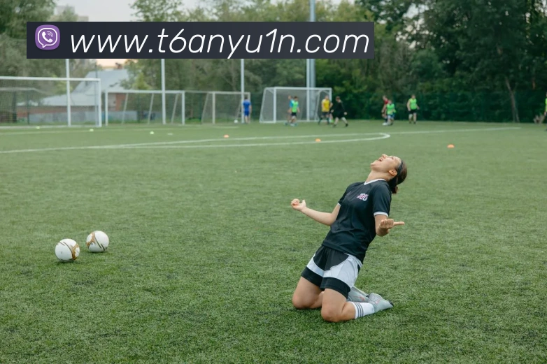 k体育直播服务体系